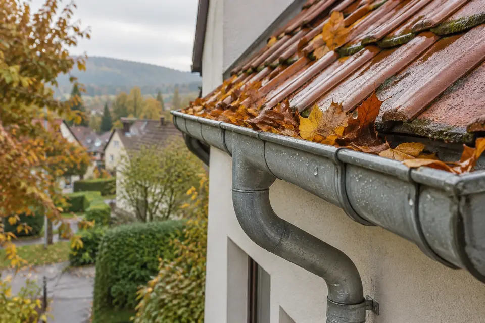 Herbstlaub in einer Regenrinne mit angeschlossenem Fallrohr an einem Wohnhaus